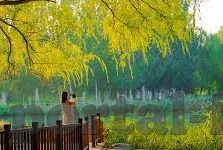 91大陆麻豆搭讪素人-91大陆麻豆与日常生活中的搭讪现象