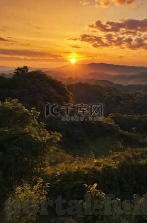 大象传媒app下载安卓版-探索大象传媒APP，安卓版下载的便捷与魅力